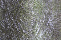 Great Barton fibreglass roof work